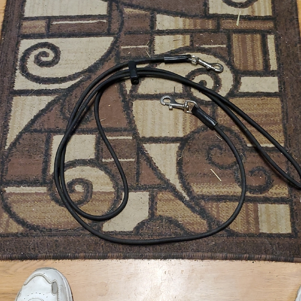 Elastic Reins